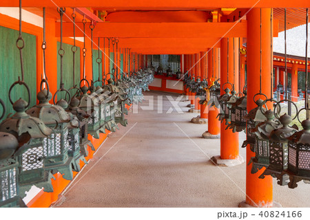 奈良 春日大社回廊 奈良 春日大社回廊 40824166