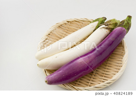 白い長茄子と薄紫長茄子の写真素材 4041