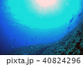 青い海とダイバーと太陽と 40824296