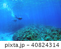青い海とサンゴとダイバーと 40824314