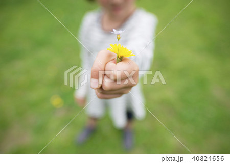 花を差し出す女の子の写真素材