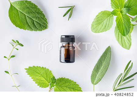 Bottle of essential oil with fresh herbal sage, ro 40824852