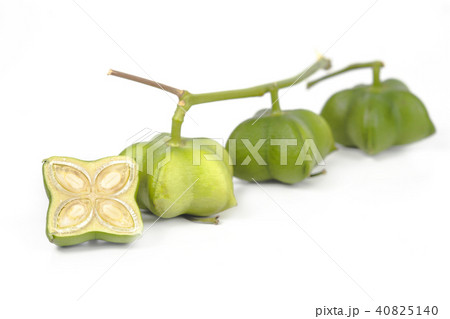 fresh inca peanut on white background fresh inca peanut on white background 40825140