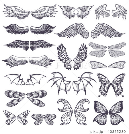 Free Free 323 Angel Butterfly Wings Svg SVG PNG EPS DXF File