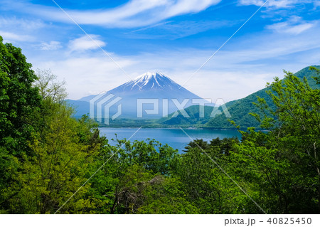 本栖湖と富士山 40825450