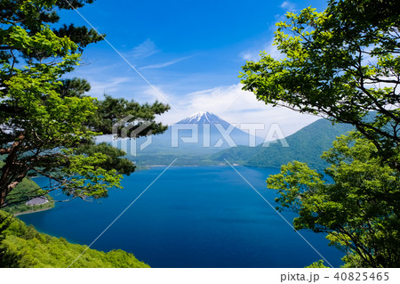 中ノ倉峠展望台からの本栖湖と富士山 中ノ倉峠展望台からの本栖湖と富士山 40825465