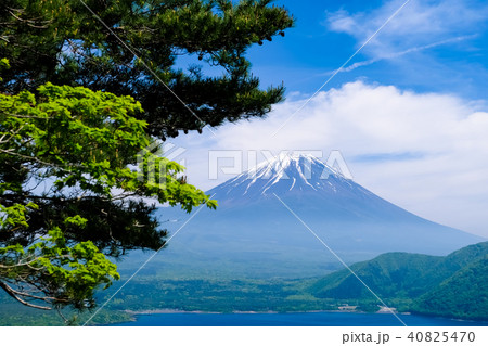 中ノ倉峠展望台からの富士山 中ノ倉峠展望台からの富士山 40825470