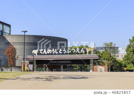 大阪府・天王寺動物園 40825857