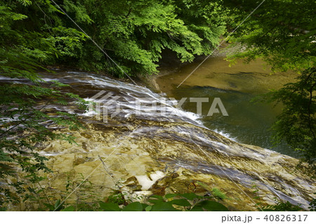 新緑の養老渓谷　 40826317
