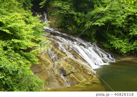 新緑の養老渓谷　 40826318