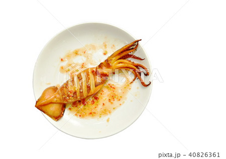 grilled squid dressing spicy sauce on white plate grilled squid dressing spicy sauce on white plate 40826361