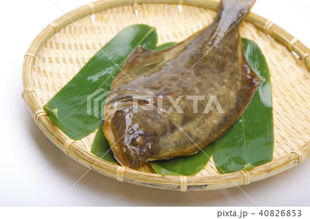 イシガレイ 食材　 40826853