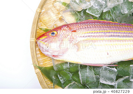 イトヨリ　食材　 40827229