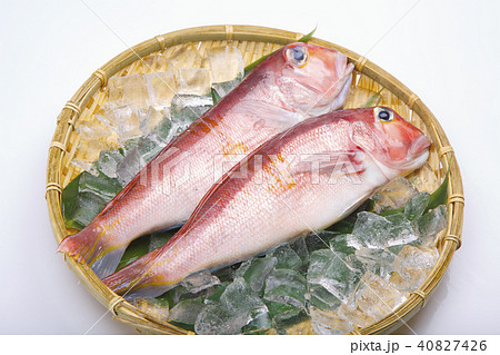 甘鯛 食材 甘鯛 食材 40827426
