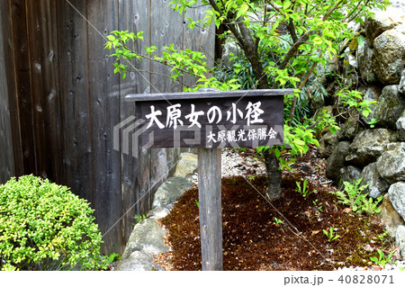 大原女の小径（京都・大原） 40828071