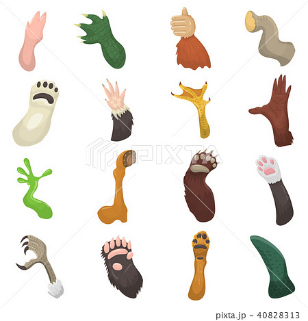 Animal paw vector animalistic pets claw or hand of cat or dog and bears or monkey paws illustration 40828313