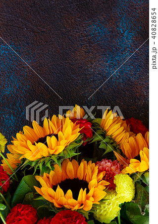 Dahlia and sunflowers 40828654