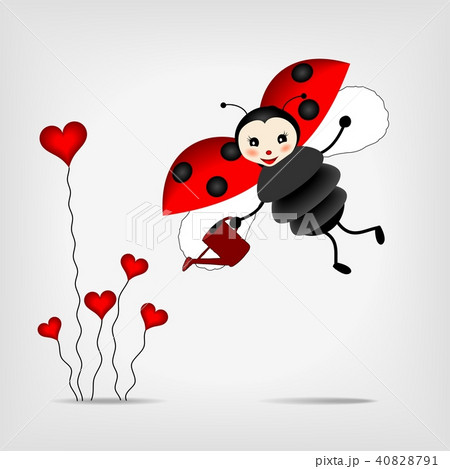 ladybug with flower ladybug with flower 40828791