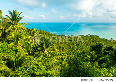 Beautiful viewpoint from Koh Samui in Thailand 40829549