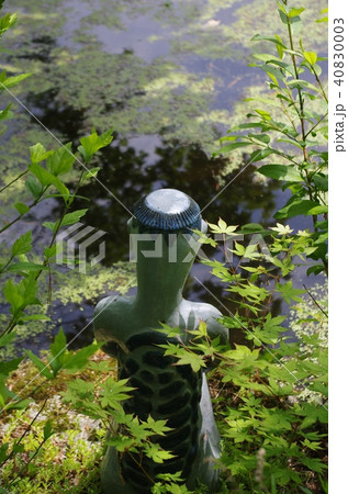 太郎淵:岩手県遠野市(2016年5月30日撮影) 太郎淵:岩手県遠野市(2016年5月30日撮影) 40830003