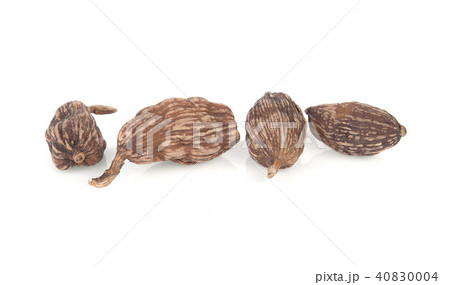 Nutmeg isolated on white background 40830004