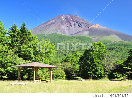 水ヶ塚公園と夏の富士山-3735 40830855