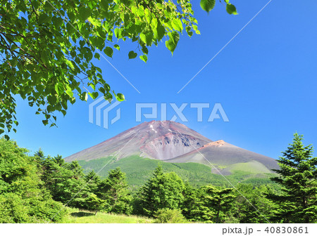水ヶ塚公園からの富士山-3740 40830861