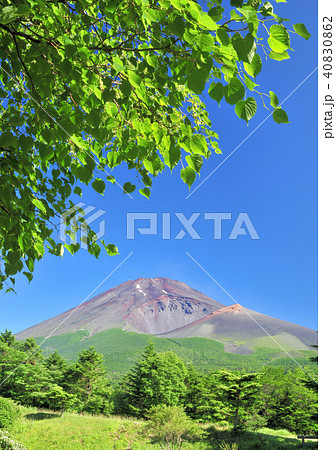 水ヶ塚公園からの富士山-3741 40830862