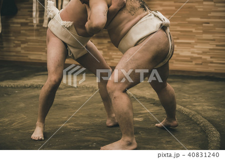 Sumo wrestling 40831240