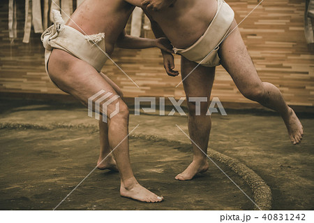 Sumo wrestling Sumo wrestling 40831242