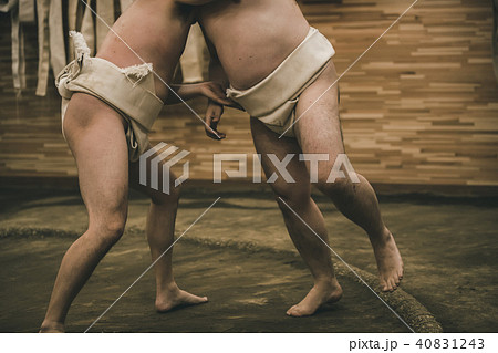 Sumo wrestling Sumo wrestling 40831243