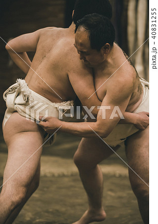 Sumo wrestling Sumo wrestling 40831255