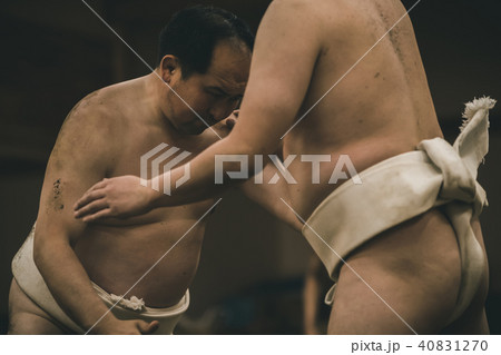 Sumo wrestling Sumo wrestling 40831270