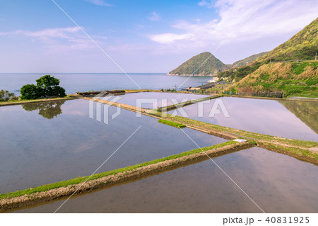 袖志の棚田 40831925