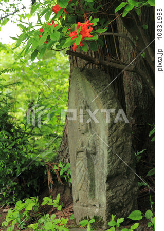 観音原石仏群 白馬村 観音原石仏群 白馬村 40831933