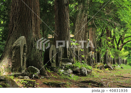 観音原石仏群 白馬村 観音原石仏群 白馬村 40831936
