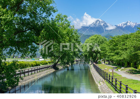 信州安曇野 新緑の拾ヶ堰と北アルプス 信州安曇野 新緑の拾ヶ堰と北アルプス 40832926
