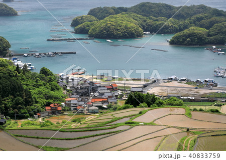 大浦港と棚田 大浦港と棚田 40833759