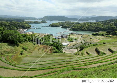 大浦の棚田の全景 大浦の棚田の全景 40833762