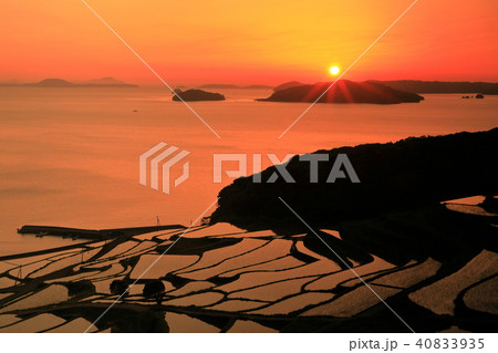 伊万里湾の島々に日が沈む棚田の風景 40833935