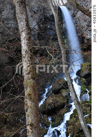 千ヶ滝 千ヶ滝 40833976