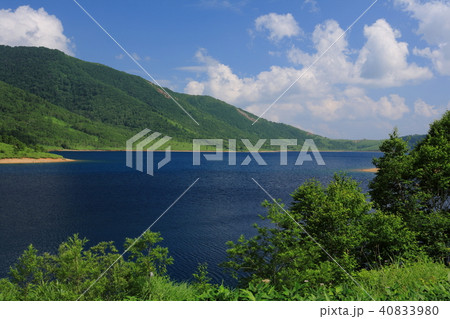 夏の野反湖 40833980
