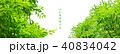サイト　トップイメージ　若葉　日本語コピー 40834042