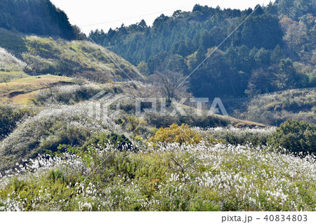 どんぐり村 40834803
