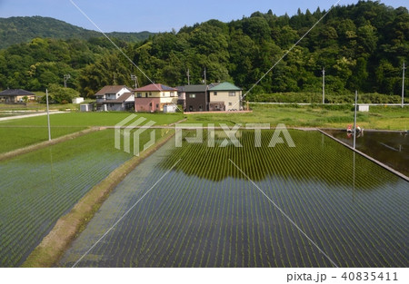 春の田園風景 春の田園風景 40835411
