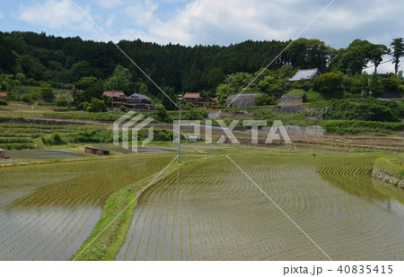 春の田園風景 春の田園風景 40835415