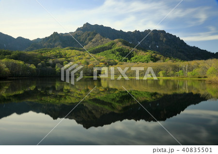 新緑の色写る鏡池 40835501