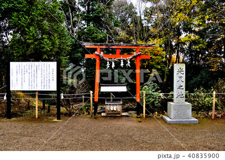 久喜市鷲宮神社境内の光天之池 久喜市鷲宮神社境内の光天之池 40835900