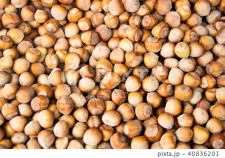 Stack of hazelnuts. Hazelnut background. Stack of hazelnuts. Hazelnut background. 40836201