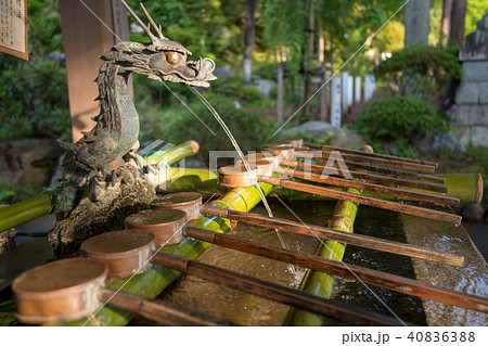 新緑の高麗神社 手水場 埼玉県日高市 新緑の高麗神社 手水場 埼玉県日高市 40836388